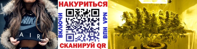 Канабис OG Kush Оханск